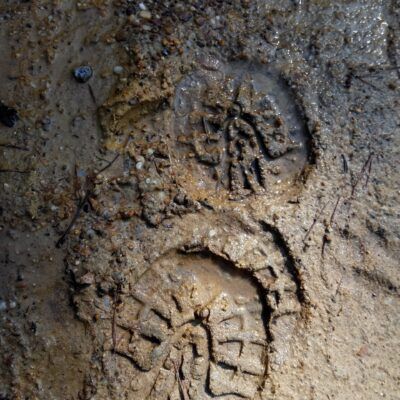 Explora boot glue-on all terrain