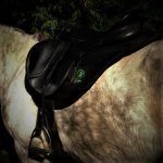 Sudadero Explora tejido 3D - Complementos para tu caballo