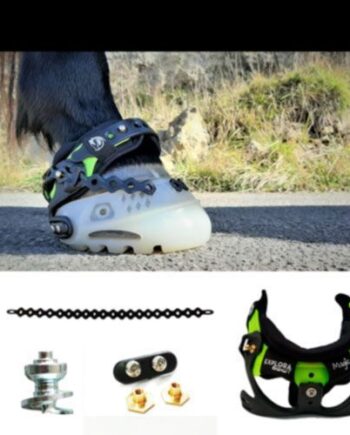 Accesorios bota Explora Magic